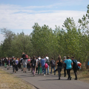 NID-3623_zarandoklat273.JPG