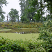 NID-6497_golyatabor098.JPG