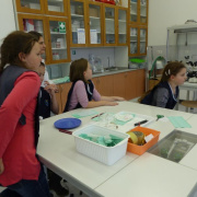 NID-6715_P1100461.JPG