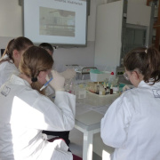 NID-6915_image149.jpg