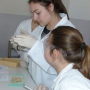 NID-6915_image157.jpg