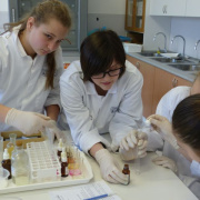 image208.jpg