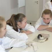 image222.jpg