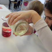 NID-7457_Laborban az 1.c31.jpg