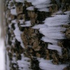 NID-638_Csovanyos2012b-161.jpg