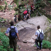 NID-2560_DSCF8132.jpg