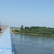 NID-2581_DSCF8863.JPG