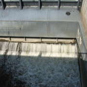 NID-2581_DSCF8870.JPG