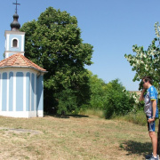 NID-2581_DSCF8875.JPG