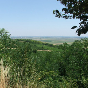 NID-2581_DSCF8876.JPG