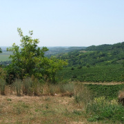 NID-2581_DSCF8877.JPG