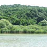 NID-2581_DSCF8881.JPG