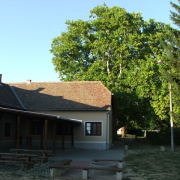 NID-2581_DSCF8890.JPG