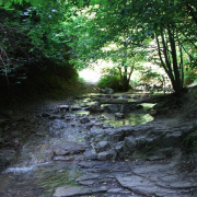 NID-2581_DSCF8907.JPG