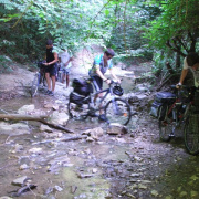 NID-2581_DSCF8909.JPG