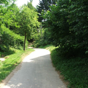 NID-2581_DSCF8930.JPG