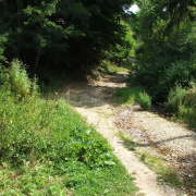 NID-2581_DSCF8931.JPG