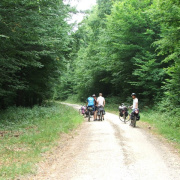 NID-2581_DSCF8939.JPG