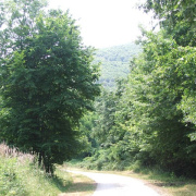 NID-2581_DSCF8940.JPG