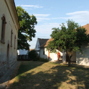 NID-2581_DSCF8968.JPG