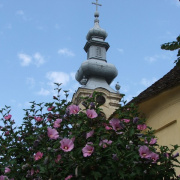 NID-2581_DSCF8983.JPG