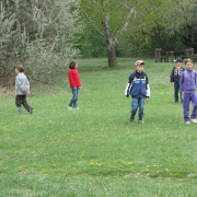 1_a_csaladinap_csalanosi_erdo_2012_04_21_051.jpg