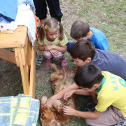 3_a_csaladinap_2013_09_01_155.jpg